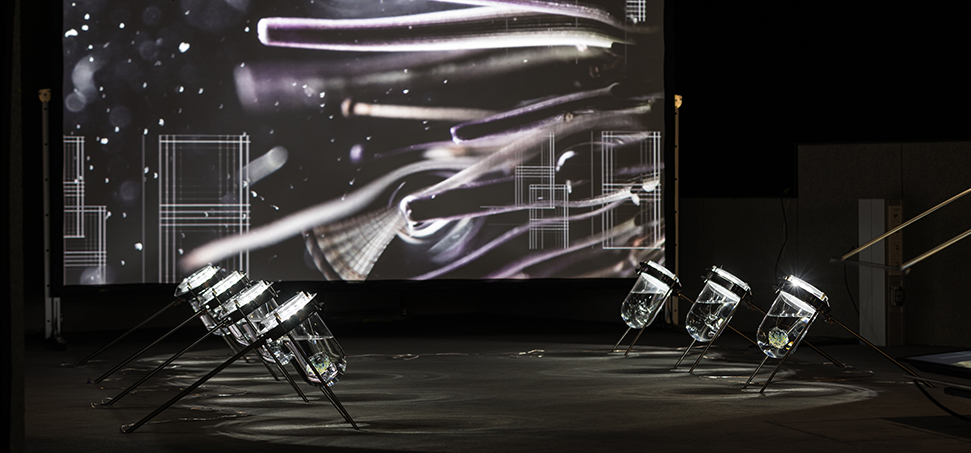 ECHINOIDEA FUTURE - ADRIATIC SENSING